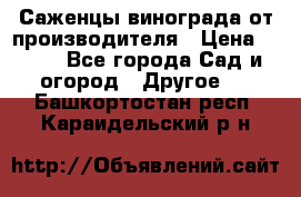 Саженцы винограда от производителя › Цена ­ 800 - Все города Сад и огород » Другое   . Башкортостан респ.,Караидельский р-н